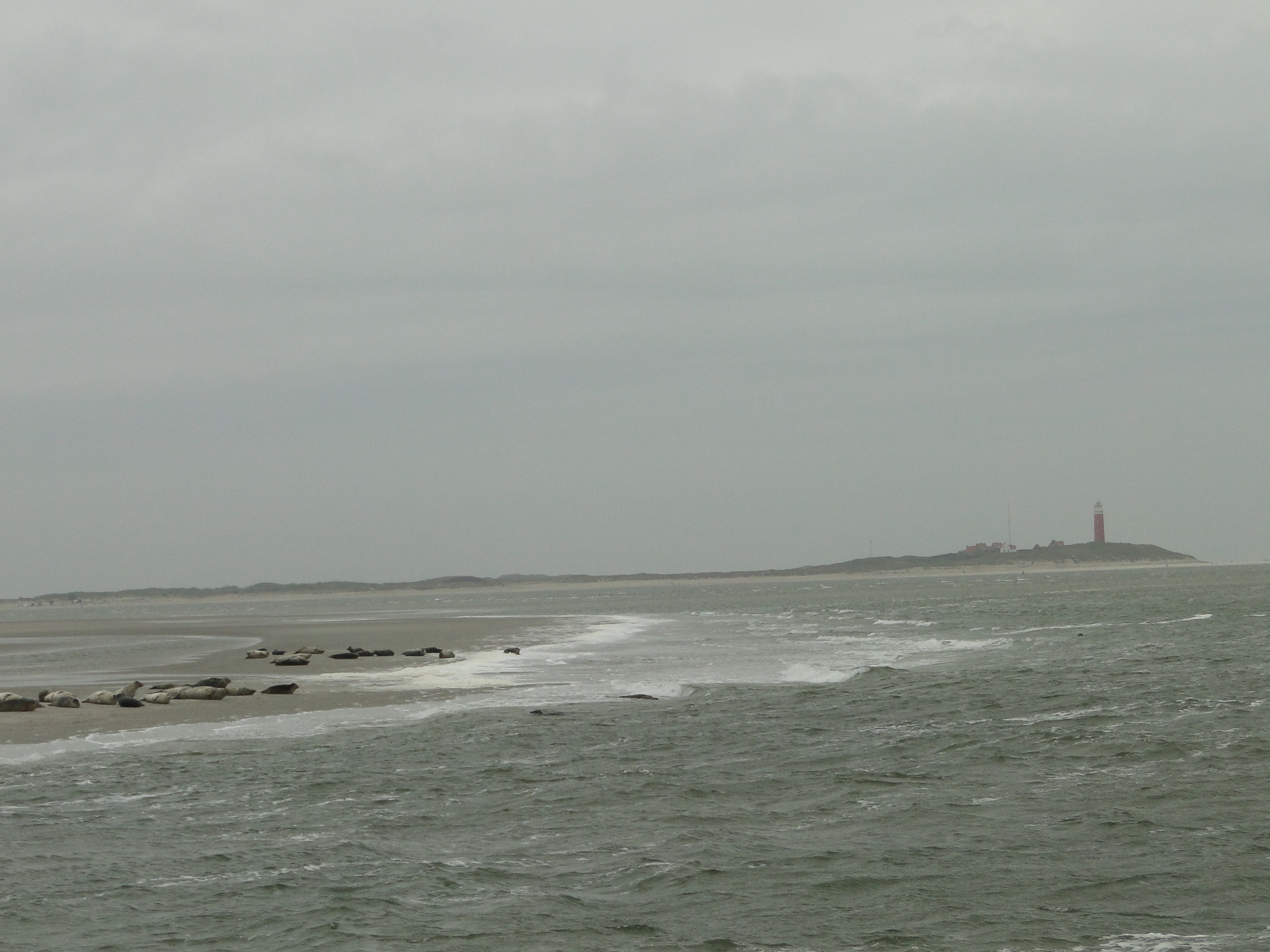 HWK Texel 230.jpg